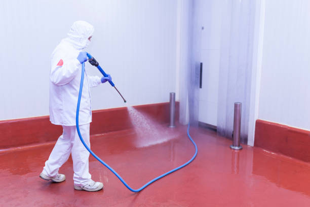Best Graffiti Removal  in Delphi, IN